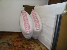 exp-zr-2009 810